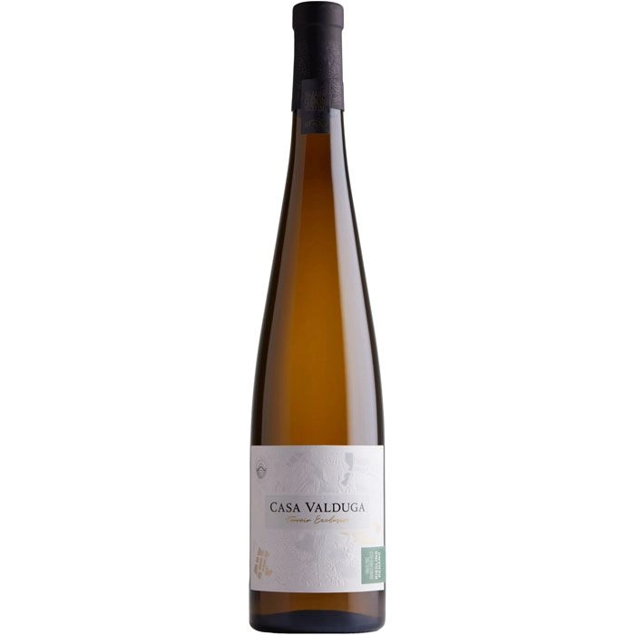 Vinho Casa Valduga Terroir Exclusivo Riesling Renano 750 Ml